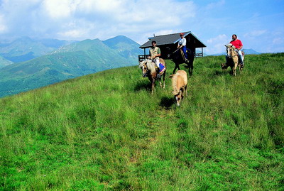 A cavallo nell'Oasi di Zegna