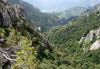 Foresta italiana, un patrimonio da preservare e custodire gelosamente!