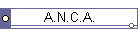 A.N.C.A.