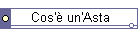 Cos'� un'Asta
