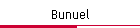 Bunuel