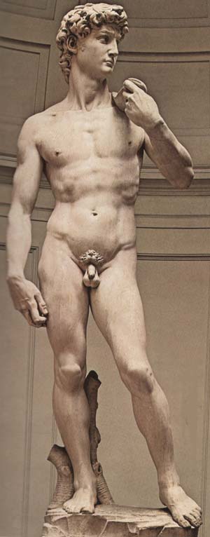 David of Michelangelo Buonarroti in Florence Bargello Museum