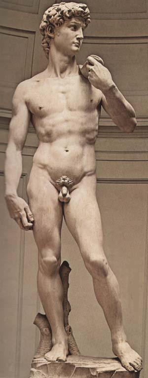 David Michelangelo Buonarroti