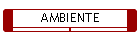 AMBIENTE