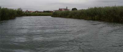La barca lascia la sua scia nel canale del lago Superiore di Mantova