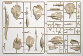 CARLA MATTII: WHITE PROJECT