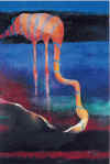 metamorfosi3.jpg (135992 byte)