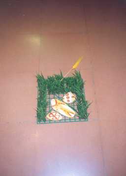 NICOLA MARIA SPAGNOLI: INSTALLAZIONI Non calpestate larte .e nemmeno gli artisti zolla in plastica e pietre colorate. DARC - 30x30 (gennaio 2003)